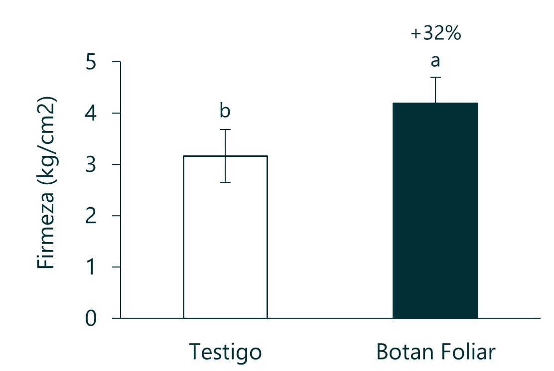Cítricos 2.4