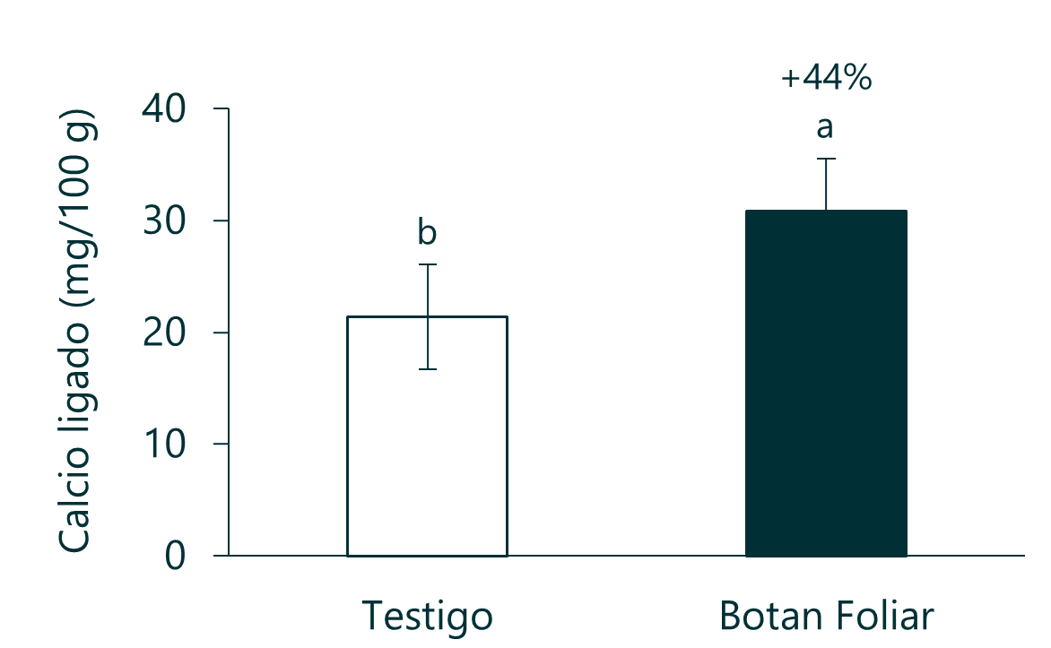 Cítricos 3.3