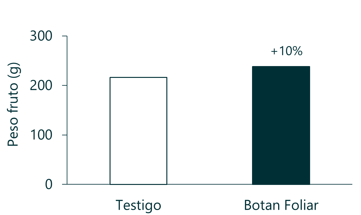 Paltos 1.1