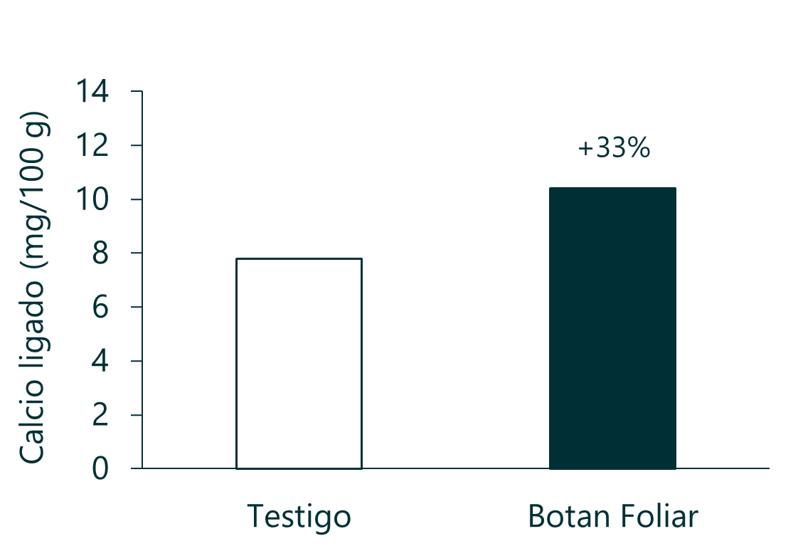 Paltos 1.2