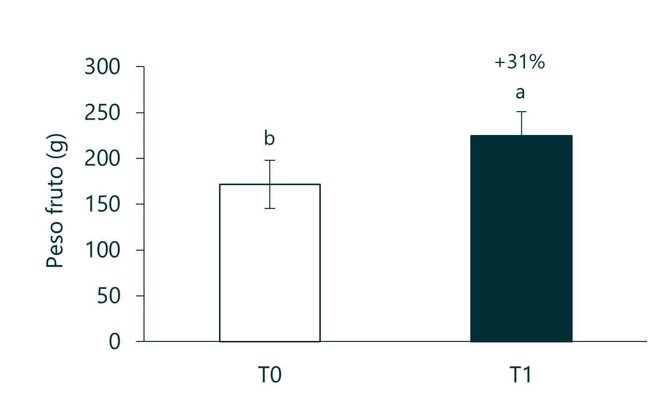 Paltos 3.2