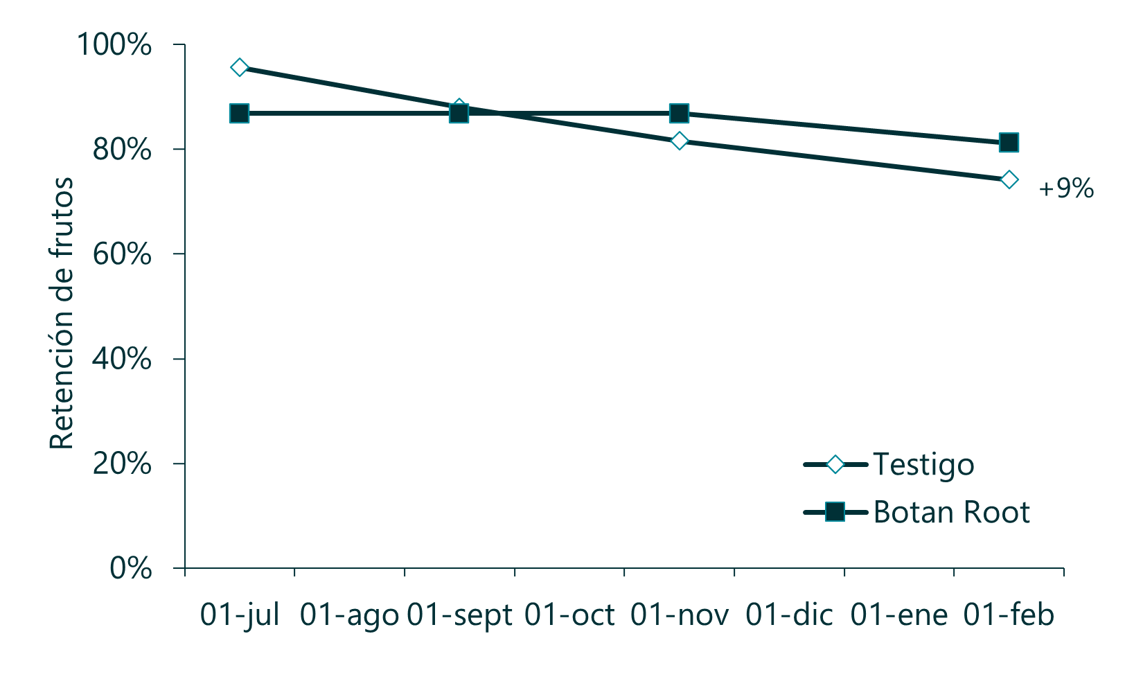 Paltos 4.1