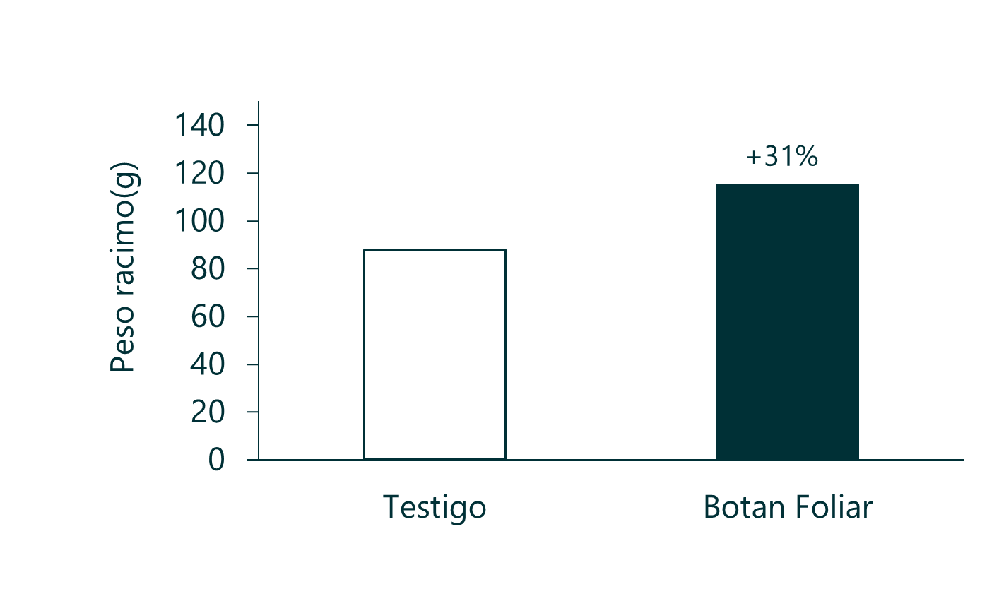 VidVinifera 2.1